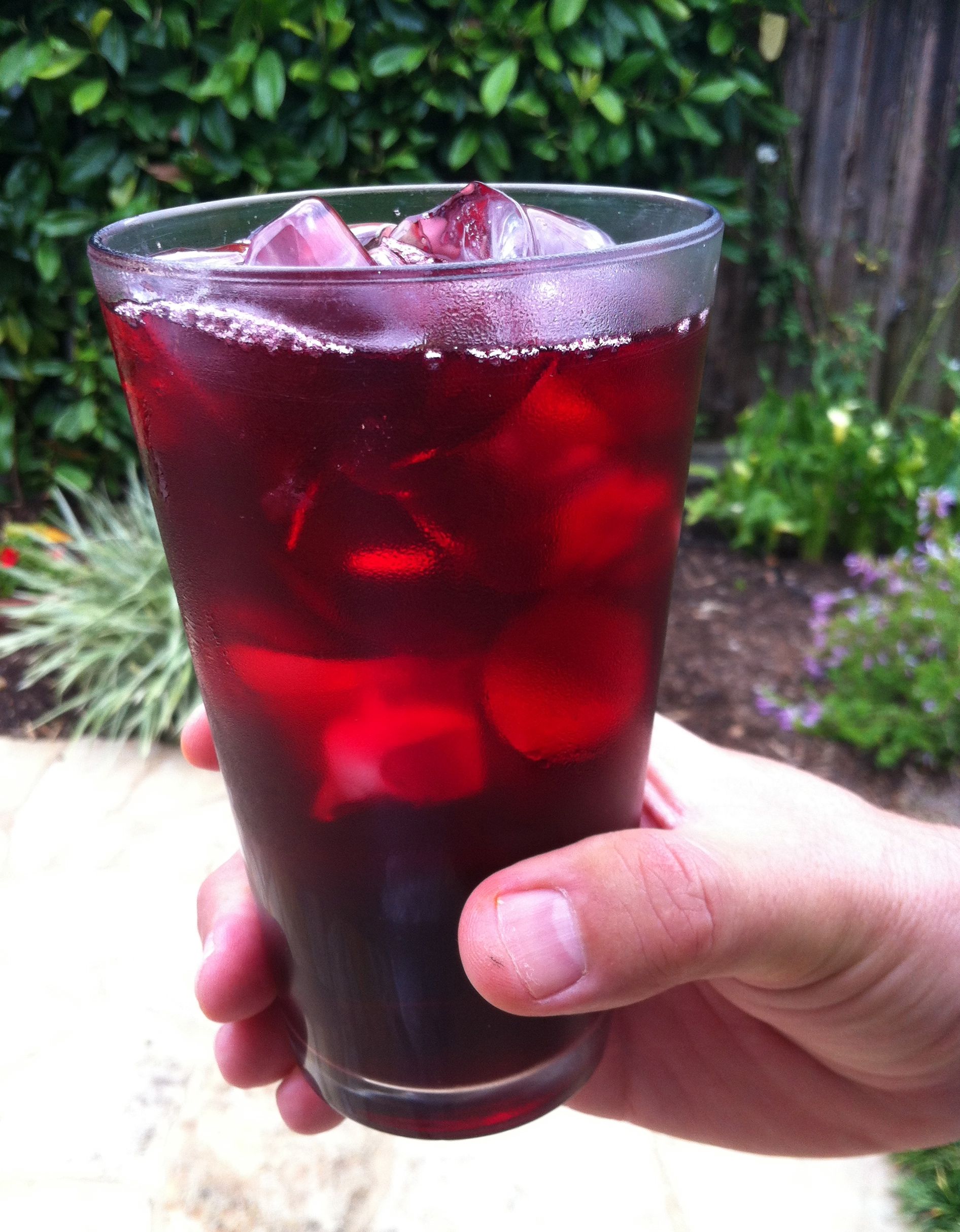 Hibiscus Drink, “Agua De Jamaica”