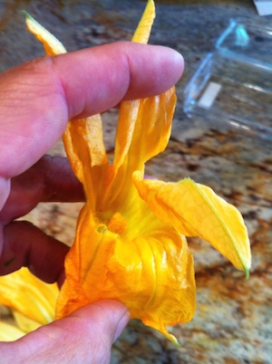 Squash Blossoms filled with Panela cheese