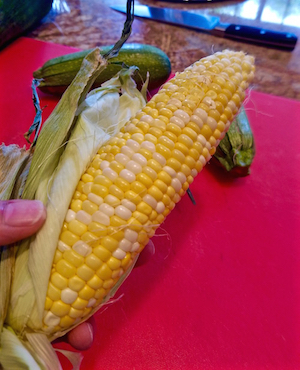 Corn Squash Guisado