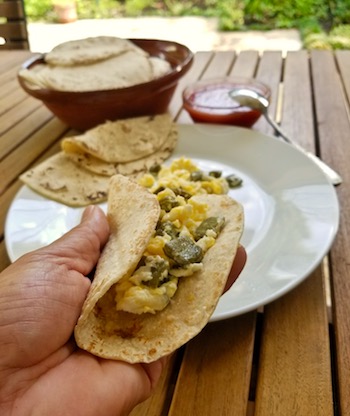 Nopalitos Con Huevo – Cactus With Egg Taco